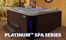 Platinum™ Spas Dearborn hot tubs for sale
