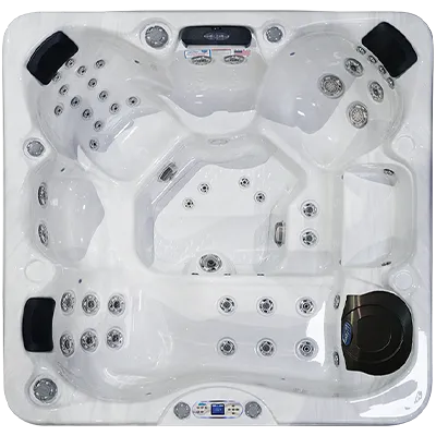 Avalon EC-849L hot tubs for sale in Dearborn