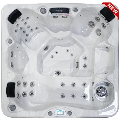 Avalon-X EC-849LX hot tubs for sale in Dearborn