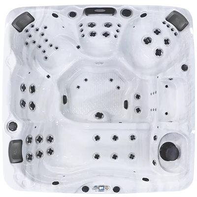 Avalon EC-867L hot tubs for sale in Dearborn