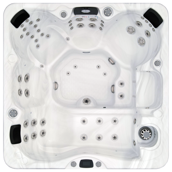 Avalon-X EC-867LX hot tubs for sale in Dearborn
